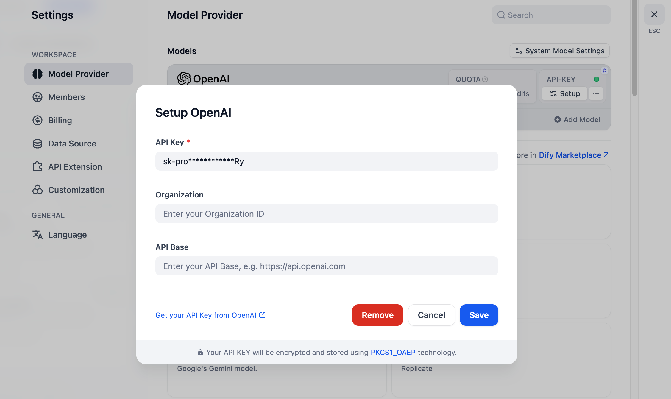 Authorize OpenAI API Key